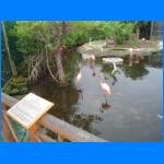 Vacation 047.jpg